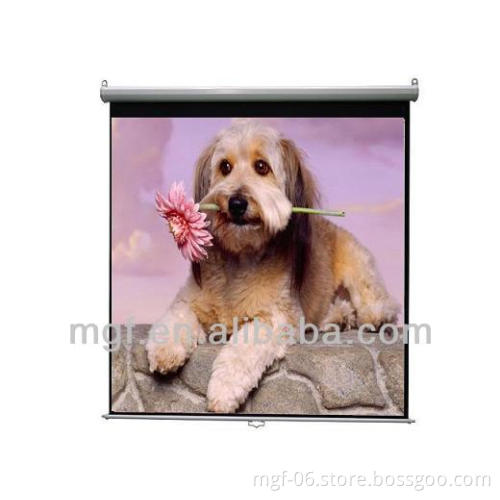 High Quality Self-lock Manual Pull Down Projection Screen